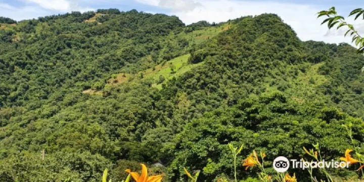 沐心泉休閒農場