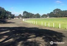 Thompson Reserve景点图片