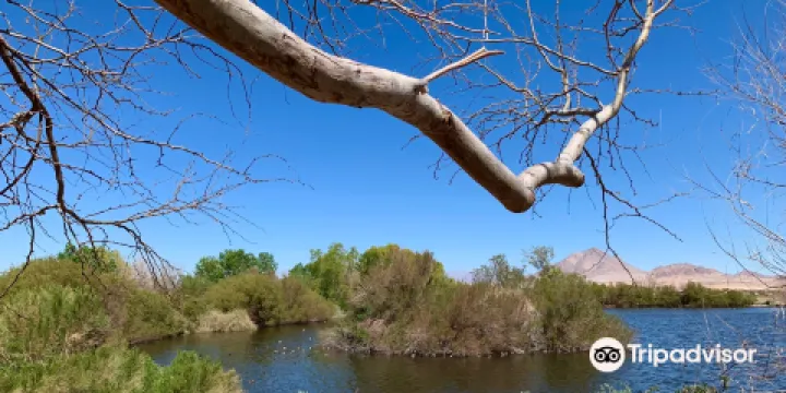 Henderson Bird Viewing Preserve