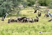 Makgadikgadi Salt Pan景点图片