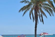 Playa El Paraiso景点图片
