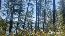 Tubbs Hill-科达伦