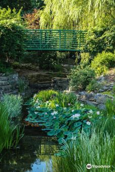 Overland Park Arboretum & Botanical Gardens-欧弗兰帕克