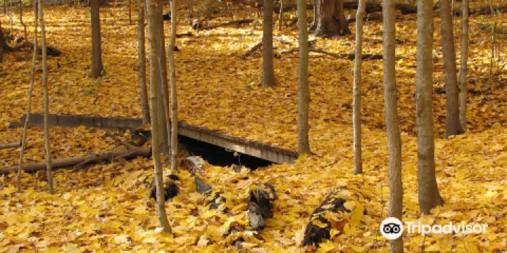 Blandford Nature Center