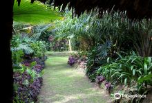 Rainbow Botanic Gardens景点图片