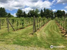Connecticut Valley Winery-新哈特福德