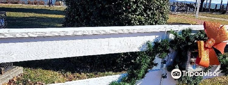 533672203
