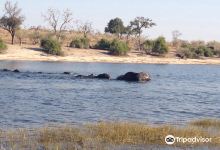 Ngina Safaris景点图片