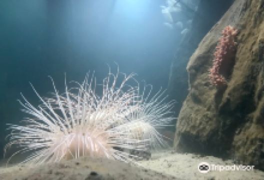 Havets Hus景点图片