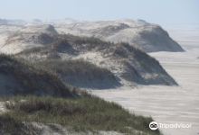 Solidao Beach景点图片