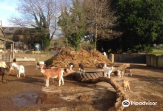 Parsonage Farms景点图片