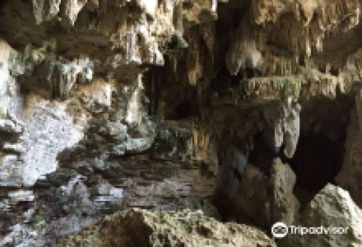 Cave Oleg Bat House景点图片