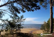 Saulkrasti Beach景点图片