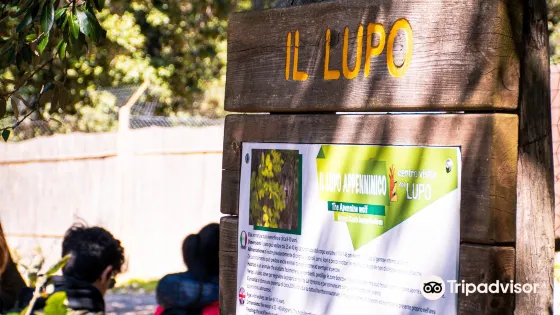 Centro Visita del Lupo
