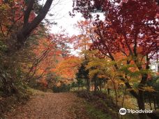 Takiyama Park, Takiyama Castle Remains-八王子市