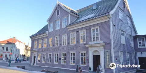 Perspektivet Museum