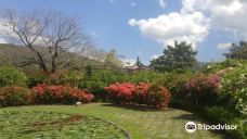 Hope Botanical Garden and Zoo-金斯敦
