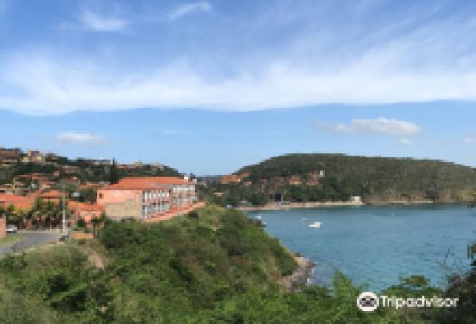 Joao Fernandinho Beach景点图片