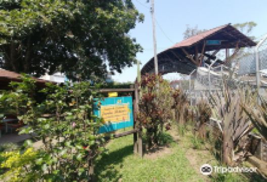 Jardin Botanico Universidad Tecnologica de Pereira景点图片