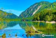 阿尔姆湖景点图片