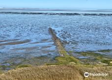 Morsum-Kliff-摩尔苏姆