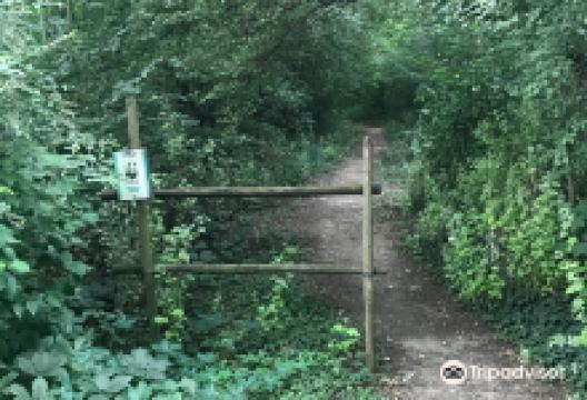 Oasi WWF Bosco di Montorfano景点图片