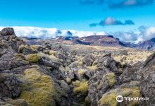 Berserkjahraun景点图片