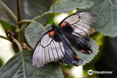 Casa delle Farfalle-米兰马瑞提那