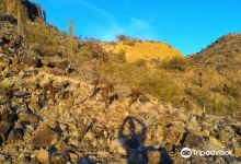 West Wing Mountain Preserve景点图片