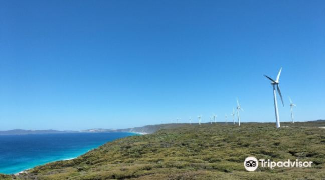 Albany Wind Farm