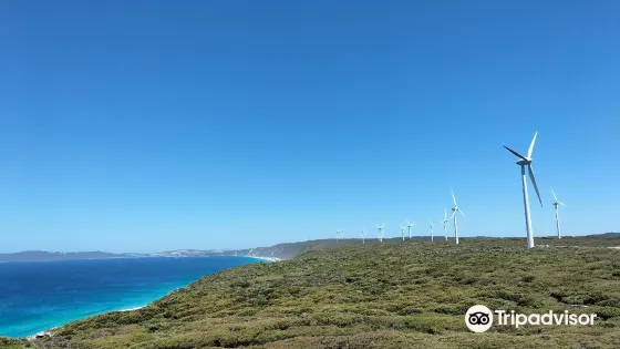 Albany Wind Farm