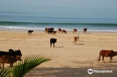 阿贡达海滩-雅高达