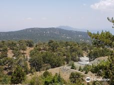 奥林匹斯山-特罗多斯山