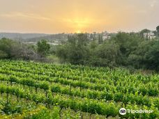 Flam Winery-Harei Yehuda