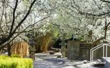 Japanese war cemetery-考拉