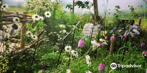 Burren Nature Sanctuary