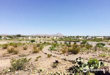 Pancho Villa State Park景点图片