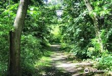 Destiny Kinal River Loop Trail景点图片
