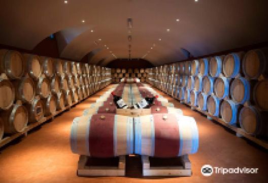 Villa I Collazzi景点图片