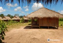 Cambodia Wildlife Sanctuary景点图片