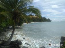 Sitapur Beach-尼尔岛