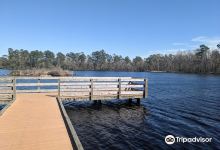 Little Pee Dee State Park景点图片