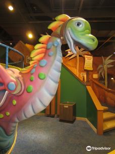 The Strong National Museum of Play-罗切斯特