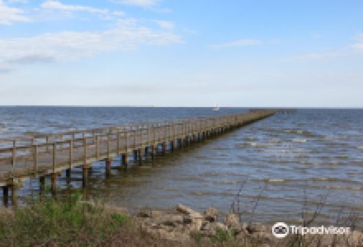 Pine Gully Park景点图片