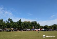 Yang Ming Exercise Park景点图片
