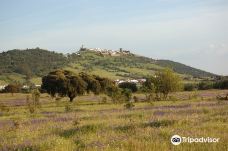 Monsaraz Castle-蒙萨拉什