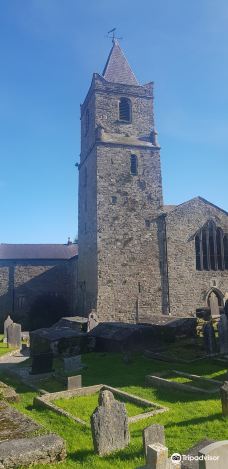 St Multose Church of Ireland-金赛尔