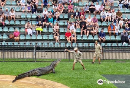 澳大利亚动物园景点图片