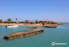 Zeytuna Beach景点图片