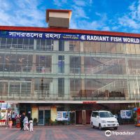 科克斯巴扎尔图片